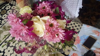 Photos of Pimoosa Flowers