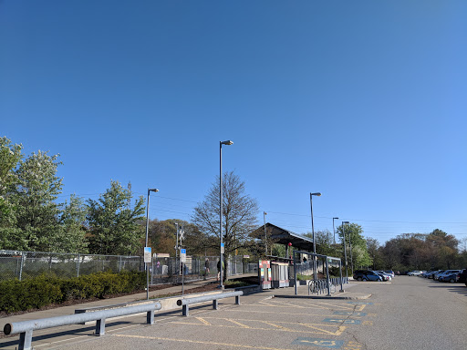 Holbrook/Randolph - Visual