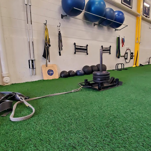 Performance Training Systems - Visual