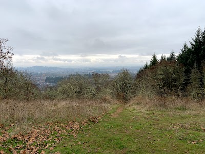 Bald Hill Natural Area