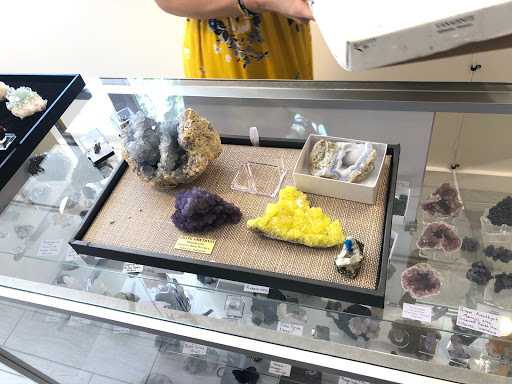 Natural Elements: A Nature and Science Store - Thumbnail