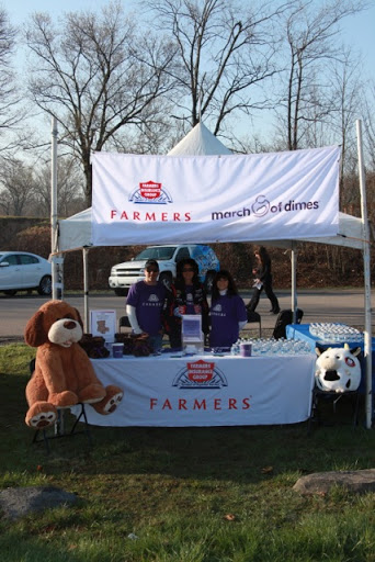 Farmers Insurance - Milene Plisko - Thumbnail