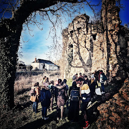 Photo n°20 de Château de Vaujours à Château-la-Vallière (Attraction touristique)