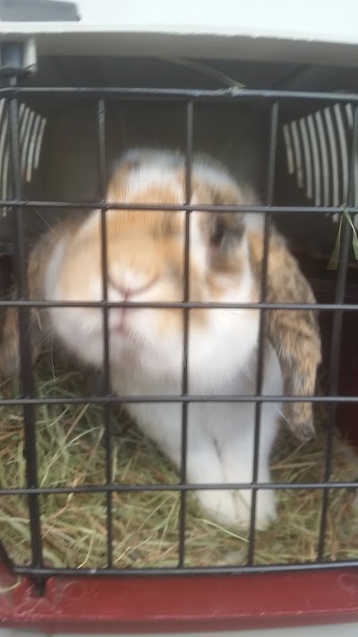 Photos of Dierenartsencentrum de Peelhorst
