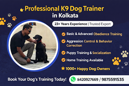 🐾 Sandip Dog Training Academy post image
