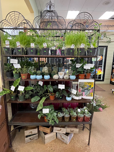 Central Market Floral - Thumbnail