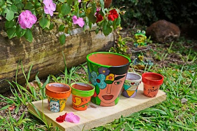 Photos of Vivero Miguel