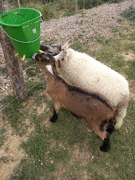 Photo n°83 de Ferme de castel pouzouilh à Le Fossat (Maraîcher)