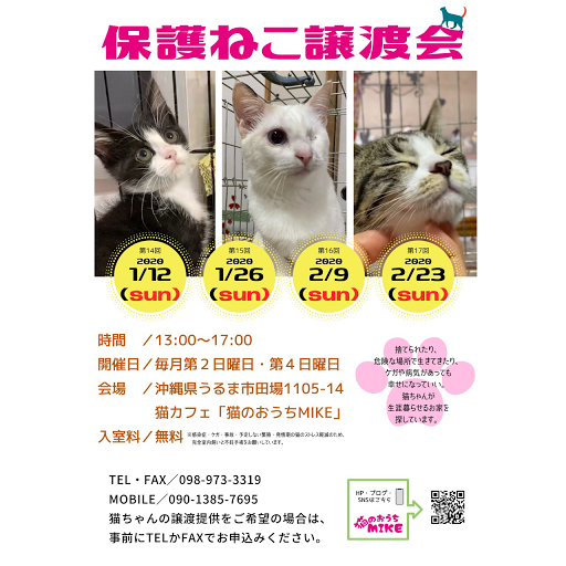 猫カフェ】猫のおうちMIKE（みけ） - 猫を愛でて癒される猫空間です 