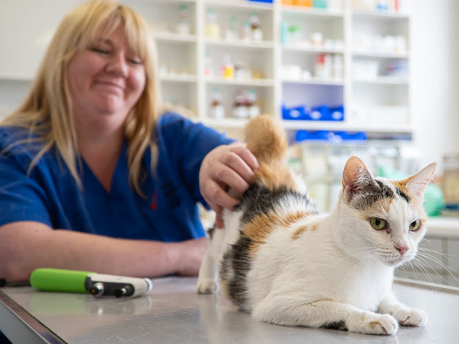 Dr.med.vet. Thomas Süß veterinarian