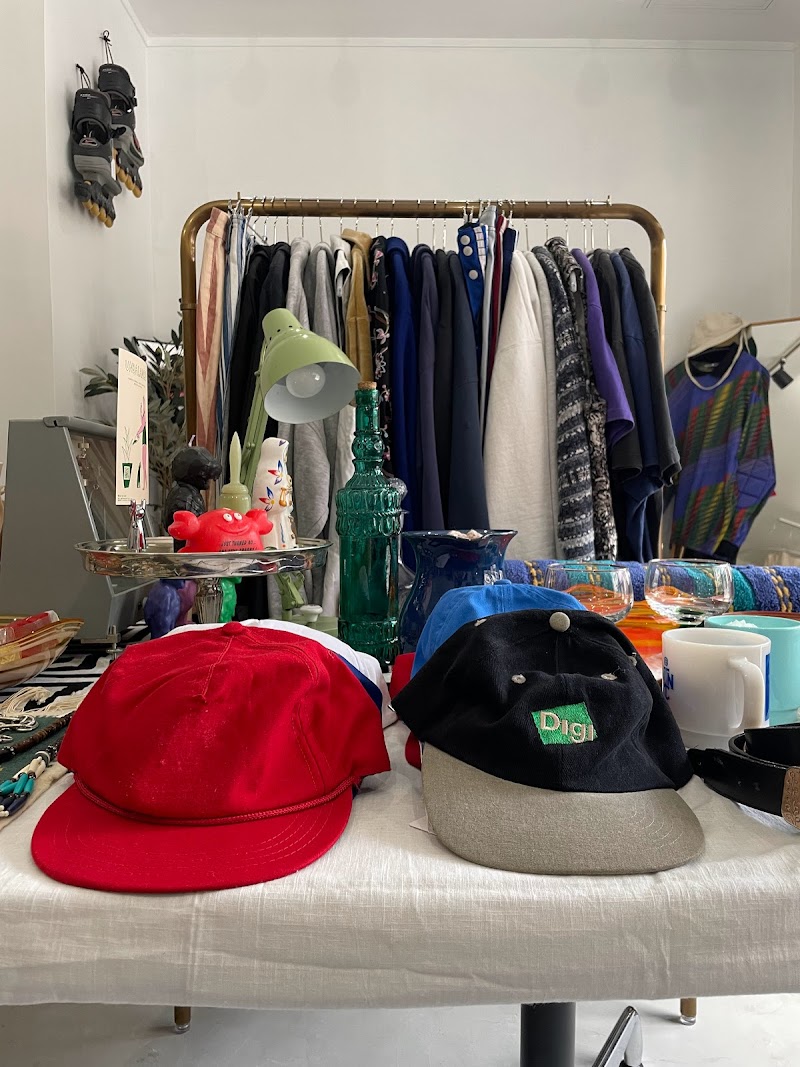 Nethnic vintage & select