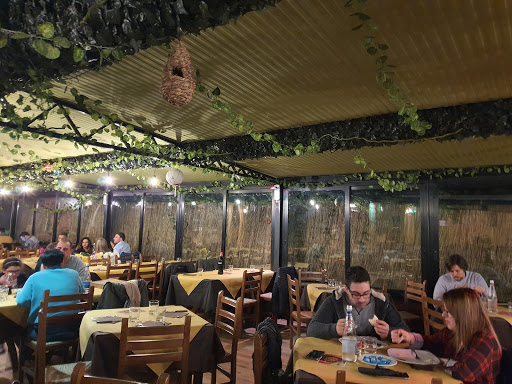 Gorilla Theme PUB