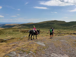 Photo n°20 de LE COL DE LA MOLEDE AU PAS DE L'ÂNE à Albepierre-Bredons (Club de randonnée)