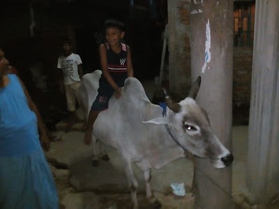 Photos of Rongipara Fish Market