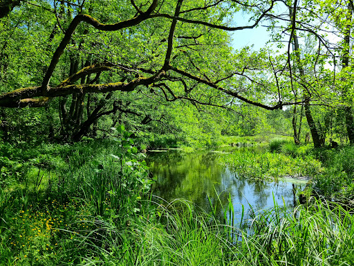 Löcknitztal Nature Reserve
