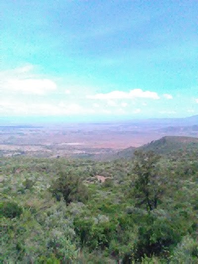 Photos of The Escarpment