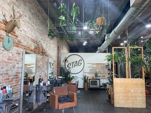Stag - Visual