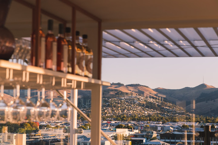 Pink Lady Rooftop by null