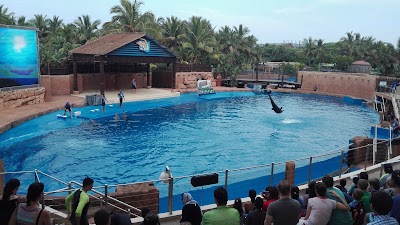 Photos of uShaka Sea World Aquarium