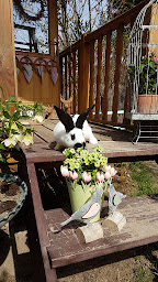 Photo n°15 de le Jardin Bohème à Sierentz (Jardin)