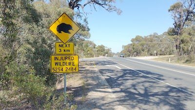 Photos of Great Otway National Park