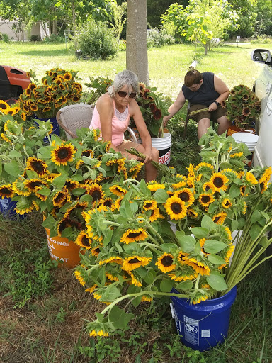 Bessie's Flower Farm & Smilax Hunters - Thumbnail
