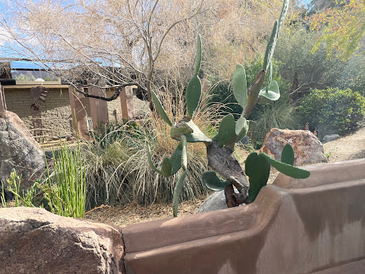 Colorado Desert Garden - Thumbnail