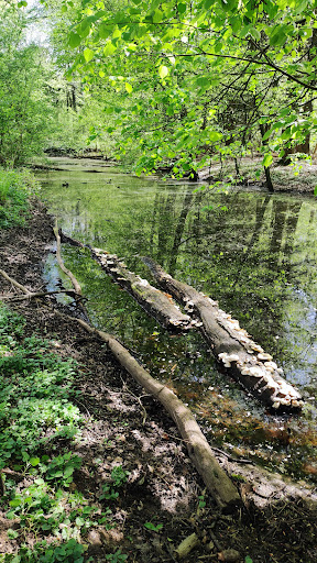 Landgoed Bijvanck - Thumbnail