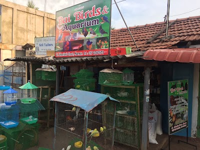 Photos of Bai Birds & Aquarium