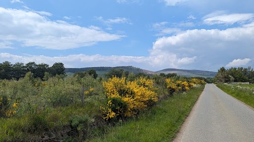 Tomintoul Dark Sky Site & Bird Hide - Thumbnail
