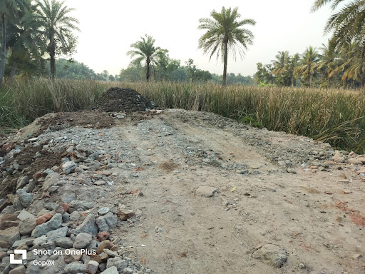 Gallery image 13