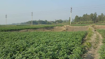 Photos of Malkhanagar Cross Roads Bus Stop
