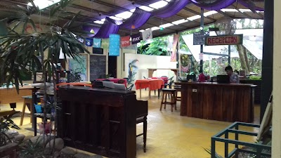 Photos of Tucan Hotel