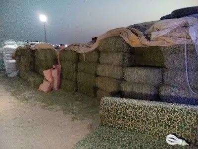 Photos of Al Ahmadi