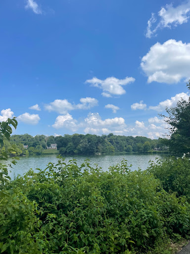 Loop Lake Whetstone - Thumbnail