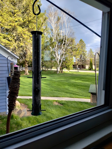 All Pro Window & Cleaning Services - Thumbnail
