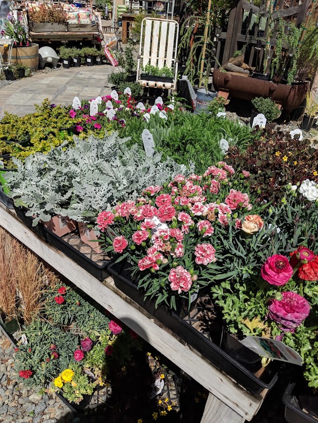 Mapstr Shopping The Potting Shed by Carlisle Orange