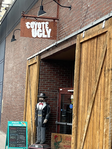 Coyote Ugly - Thumbnail