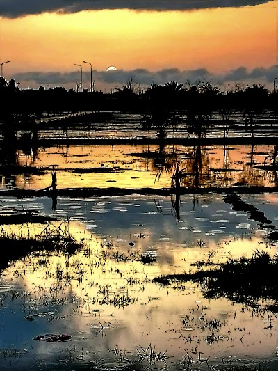 Photos of منتزه الرئاسة