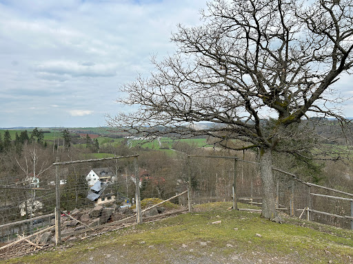 Aussichtshütte im Wild Park - Thumbnail