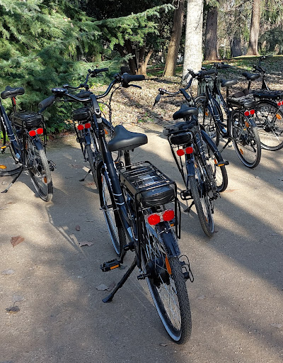 AtochaBikes - Visual