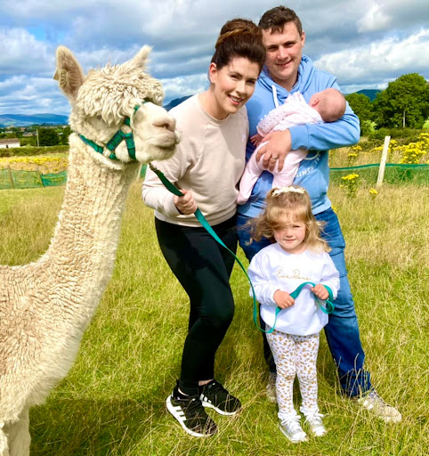 Cranfield Alpacas, Winner- Best Tourism Experience in Northern Ireland - Thumbnail