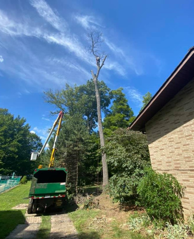 Piece It Out Tree Service LLC