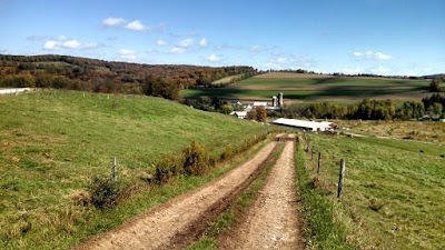 Photos of God's Country Creamery
