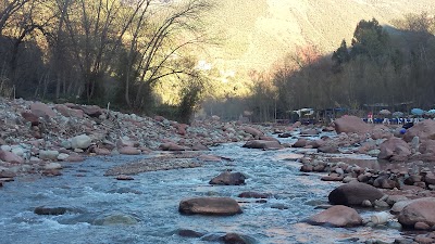 Photos of مقهى ومطعم الزيتونة الذهبية