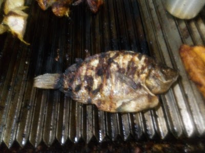Photos of El Carnaval del Pollo