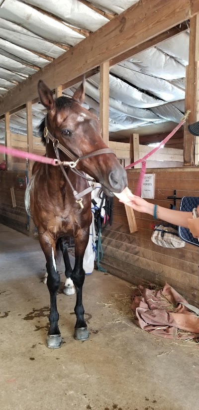 Hope on Horseback Equestrian Center