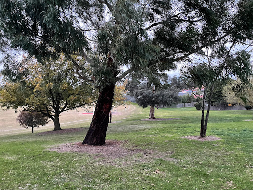 Singleton Reserve Playground - Thumbnail
