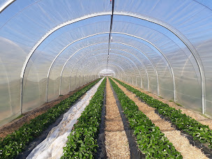 Photo n°10 de Ferme Villenave Tosse à Tosse (Magasin de produits de la ferme)