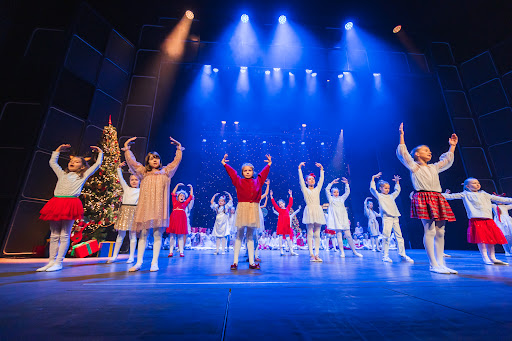 FAME Akademia Estradowa